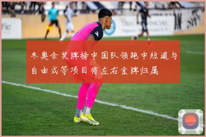 冬奥会奖牌榜中国队领跑中短道与自由式等项目将左右金牌归属